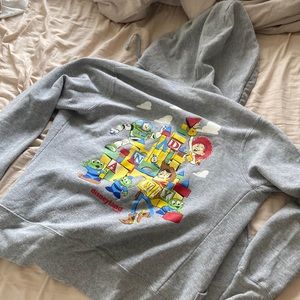 Toy Story Pixar Pier Disneyland Resort zip up jacket sweater.
